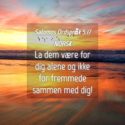 Picture 04 - Salomos Ordspråk 5:17 NORSK - La dem være for dig alene og ikke for fremmede - Bible Verse Picture