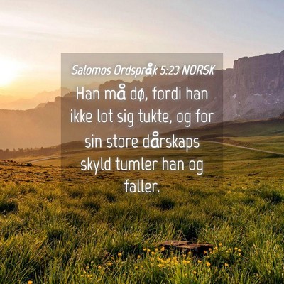 Picture 04 - Salomos Ordspråk 5:23 NORSK - Han må dø, fordi han ikke lot sig tukte, og for - Bible Verse Picture