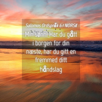 Picture 04 - Salomos Ordspråk 6:1 NORSK - Min sønn! Har du gått i borgen for din næste, - Bible Verse Picture