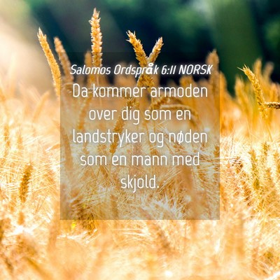 Picture 04 - Salomos Ordspråk 6:11 NORSK - Da kommer armoden over dig som en landstryker og - Bible Verse Picture
