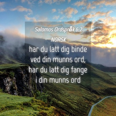 Picture 04 - Salomos Ordspråk 6:2 NORSK - har du latt dig binde ved din munns ord, har du - Bible Verse Picture