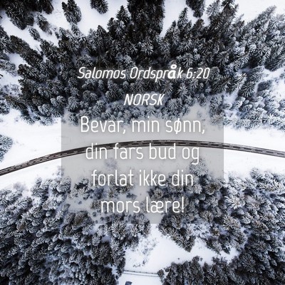 Picture 04 - Salomos Ordspråk 6:20 NORSK - Bevar, min sønn, din fars bud og forlat ikke din - Bible Verse Picture