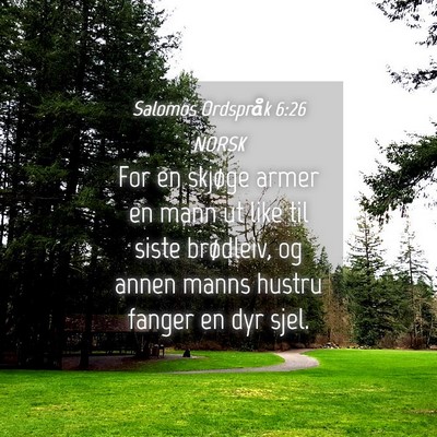 Picture 04 - Salomos Ordspråk 6:26 NORSK - For en skjøge armer en mann ut like til siste - Bible Verse Picture