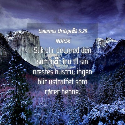 Picture 04 - Salomos Ordspråk 6:29 NORSK - Slik blir det med den som går inn til sin - Bible Verse Picture