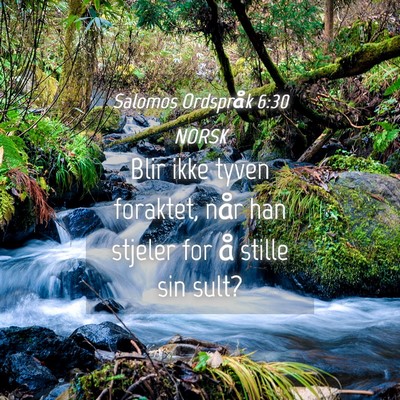 Picture 04 - Salomos Ordspråk 6:30 NORSK - Blir ikke tyven foraktet, når han stjeler for å - Bible Verse Picture