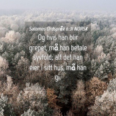 Picture 04 - Salomos Ordspråk 6:31 NORSK - Og hvis han blir grepet, må han betale syvfold; - Bible Verse Picture