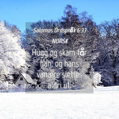 Picture 04 - Salomos Ordspråk 6:33 NORSK - Hugg og skam får han, og hans vanære slettes - Bible Verse Picture