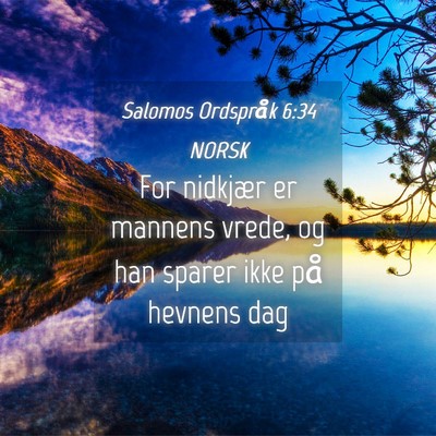 Picture 04 - Salomos Ordspråk 6:34 NORSK - For nidkjær er mannens vrede, og han sparer ikke - Bible Verse Picture