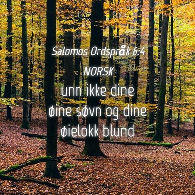 Picture 04 - Salomos Ordspråk 6:4 NORSK - unn ikke dine øine søvn og dine øielokk - Bible Verse Picture