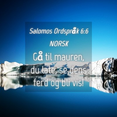 Picture 04 - Salomos Ordspråk 6:6 NORSK - Gå til mauren, du late, se dens ferd og bli - Bible Verse Picture