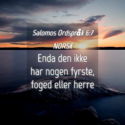 Picture 04 - Salomos Ordspråk 6:7 NORSK - Enda den ikke har nogen fyrste, foged eller - Bible Verse Picture