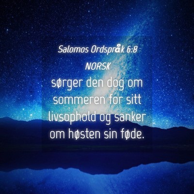 Picture 04 - Salomos Ordspråk 6:8 NORSK - sørger den dog om sommeren for sitt livsophold - Bible Verse Picture