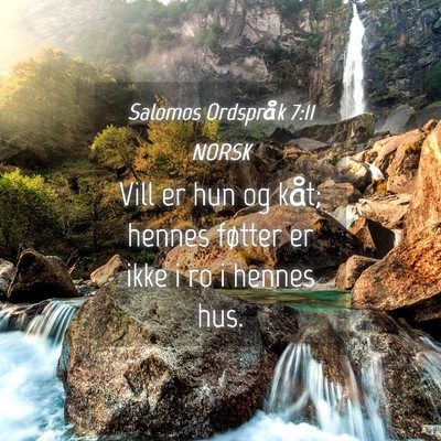 Picture 04 - Salomos Ordspråk 7:11 NORSK - Vill er hun og kåt; hennes føtter er ikke i ro - Bible Verse Picture