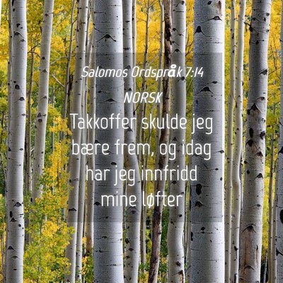 Picture 04 - Salomos Ordspråk 7:14 NORSK - Takkoffer skulde jeg bære frem, og idag har jeg - Bible Verse Picture