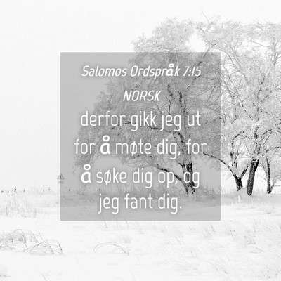 Picture 04 - Salomos Ordspråk 7:15 NORSK - derfor gikk jeg ut for å møte dig, for å søke - Bible Verse Picture