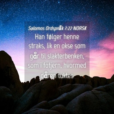 Picture 04 - Salomos Ordspråk 7:22 NORSK - Han følger henne straks, lik en okse som går - Bible Verse Picture