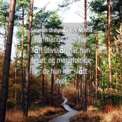 Picture 04 - Salomos Ordspråk 7:26 NORSK - For mange som har fått ulivssår, har hun - Bible Verse Picture