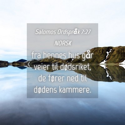 Picture 04 - Salomos Ordspråk 7:27 NORSK - fra hennes hus går veier til dødsriket, de - Bible Verse Picture
