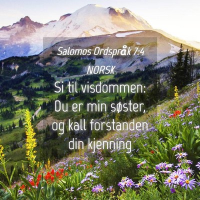 Picture 04 - Salomos Ordspråk 7:4 NORSK - Si til visdommen: Du er min søster, og kall - Bible Verse Picture