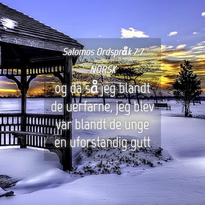 Picture 04 - Salomos Ordspråk 7:7 NORSK - og da så jeg blandt de uerfarne, jeg blev var - Bible Verse Picture