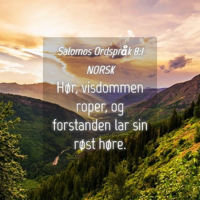 Picture 04 - Salomos Ordspråk 8:1 NORSK - Hør, visdommen roper, og forstanden lar sin - Bible Verse Picture