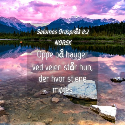 Picture 04 - Salomos Ordspråk 8:2 NORSK - Oppe på hauger ved veien står hun, der hvor - Bible Verse Picture