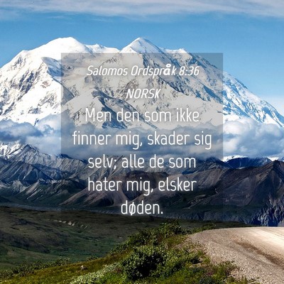 Picture 04 - Salomos Ordspråk 8:36 NORSK - Men den som ikke finner mig, skader sig selv; - Bible Verse Picture