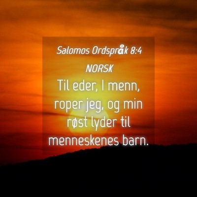 Picture 04 - Salomos Ordspråk 8:4 NORSK - Til eder, I menn, roper jeg, og min røst lyder - Bible Verse Picture