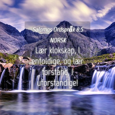 Picture 04 - Salomos Ordspråk 8:5 NORSK - Lær klokskap, I enfoldige, og lær forstand, I - Bible Verse Picture