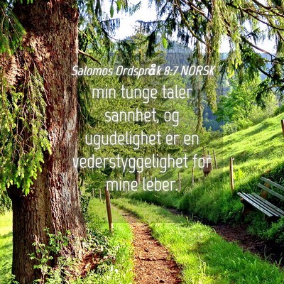 Picture 04 - Salomos Ordspråk 8:7 NORSK - min tunge taler sannhet, og ugudelighet er en - Bible Verse Picture