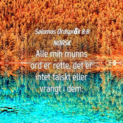 Picture 04 - Salomos Ordspråk 8:8 NORSK - Alle min munns ord er rette, det er intet falskt - Bible Verse Picture