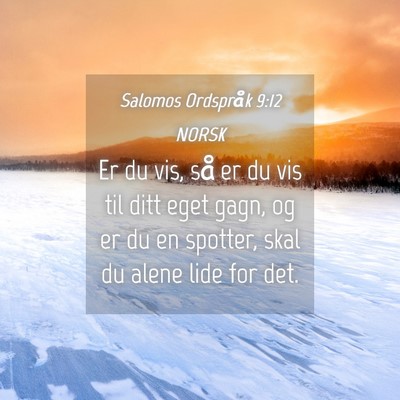 Picture 04 - Salomos Ordspråk 9:12 NORSK - Er du vis, så er du vis til ditt eget gagn, og - Bible Verse Picture
