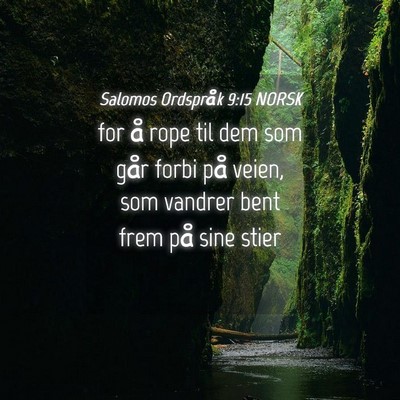 Picture 04 - Salomos Ordspråk 9:15 NORSK - for å rope til dem som går forbi på veien, som - Bible Verse Picture
