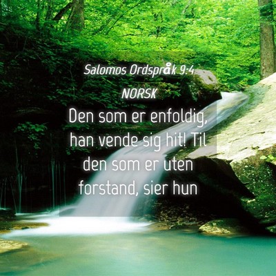 Picture 04 - Salomos Ordspråk 9:4 NORSK - Den som er enfoldig, han vende sig hit! Til den - Bible Verse Picture