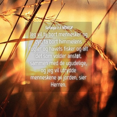 Picture 04 - Sefanja 1:3 NORSK - Jeg vil ta bort mennesker og dyr, ta bort - Bible Verse Picture