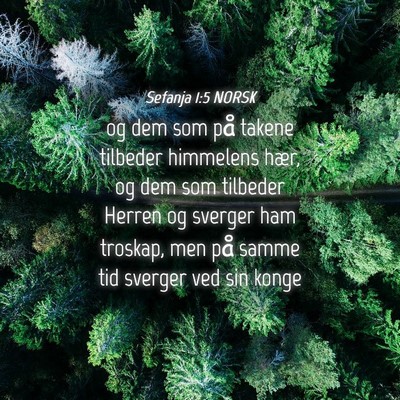Picture 04 - Sefanja 1:5 NORSK - og dem som på takene tilbeder himmelens hær, og - Bible Verse Picture
