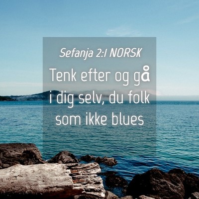 Picture 04 - Sefanja 2:1 NORSK - Tenk efter og gå i dig selv, du folk som ikke - Bible Verse Picture
