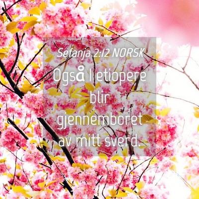 Picture 04 - Sefanja 2:12 NORSK - Også I etiopere blir gjennemboret av mitt - Bible Verse Picture