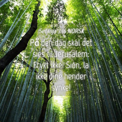 Picture 04 - Sefanja 3:16 NORSK - På den dag skal det sies til Jerusalem: Frykt - Bible Verse Picture