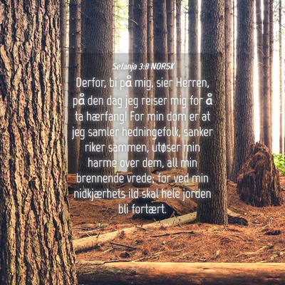 Picture 04 - Sefanja 3:8 NORSK - Derfor, bi på mig, sier Herren, på den dag jeg - Bible Verse Picture