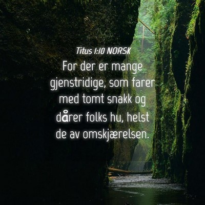 Picture 04 - Titus 1:10 NORSK - For der er mange gjenstridige, som farer med tomt - Bible Verse Picture
