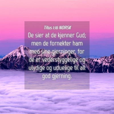 Picture 04 - Titus 1:16 NORSK - De sier at de kjenner Gud; men de fornekter ham - Bible Verse Picture