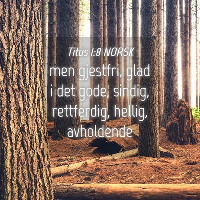 Picture 04 - Titus 1:8 NORSK - men gjestfri, glad i det gode, sindig, - Bible Verse Picture