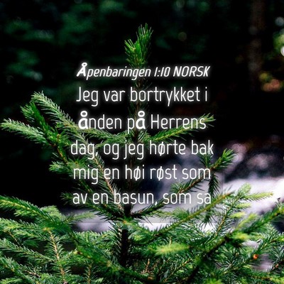 Picture 04 - Åpenbaringen 1:10 NORSK - Jeg var bortrykket i ånden på Herrens dag, og - Bible Verse Picture
