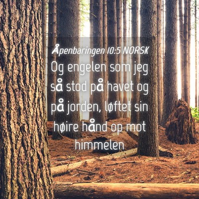 Picture 04 - Åpenbaringen 10:5 NORSK - Og engelen som jeg så stod på havet og på - Bible Verse Picture