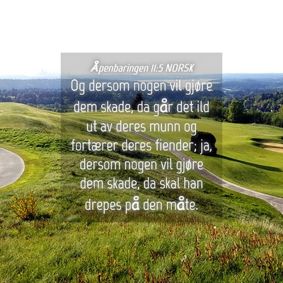 Picture 04 - Åpenbaringen 11:5 NORSK - Og dersom nogen vil gjøre dem skade, da går det - Bible Verse Picture