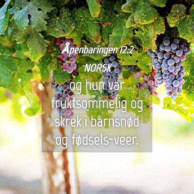 Picture 04 - Åpenbaringen 12:2 NORSK - og hun var fruktsommelig og skrek i barnsnød og - Bible Verse Picture