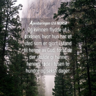 Picture 04 - Åpenbaringen 12:6 NORSK - Og kvinnen flydde ut i ørkenen, hvor hun har et - Bible Verse Picture