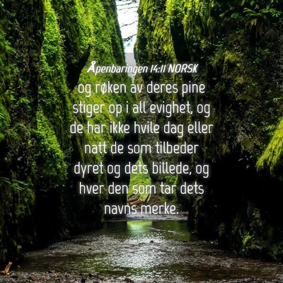 Picture 04 - Åpenbaringen 14:11 NORSK - og røken av deres pine stiger op i all evighet, - Bible Verse Picture