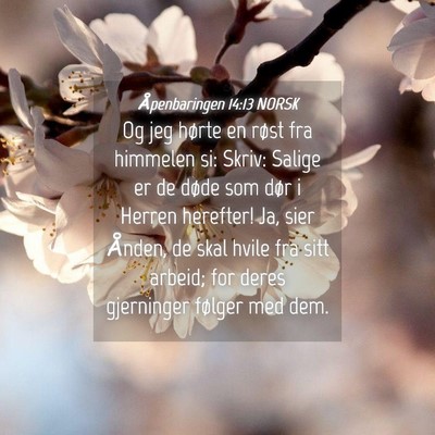 Picture 04 - Åpenbaringen 14:13 NORSK - Og jeg hørte en røst fra himmelen si: Skriv: - Bible Verse Picture